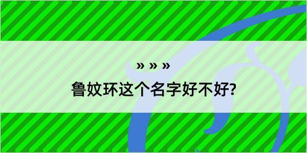 鲁妏环这个名字好不好?