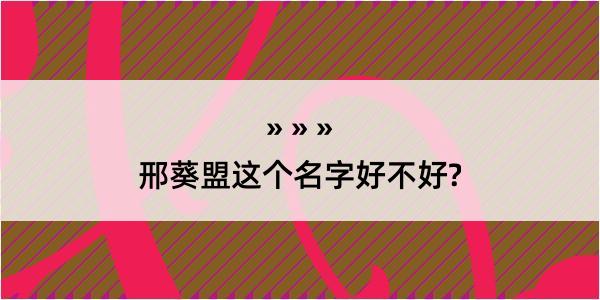 邢葵盟这个名字好不好?