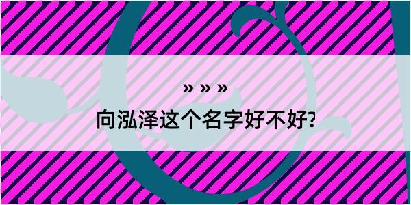 向泓泽这个名字好不好?