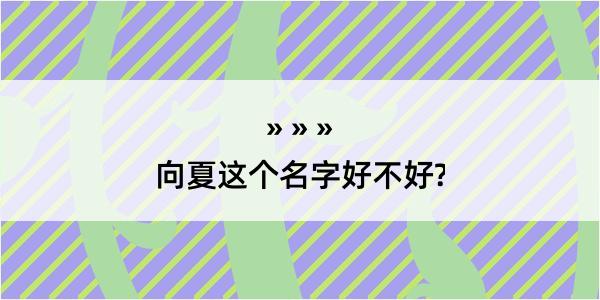 向夏这个名字好不好?