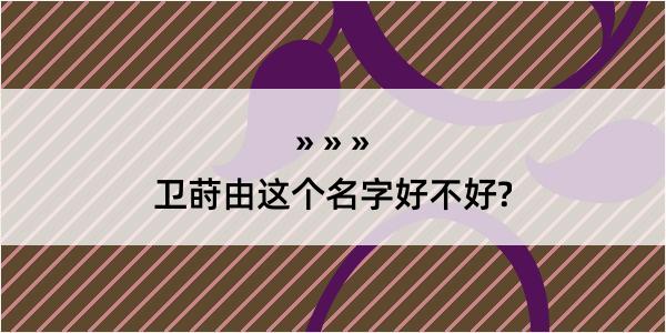 卫莳由这个名字好不好?