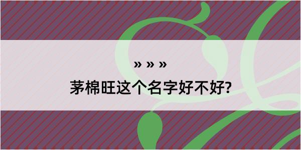 茅棉旺这个名字好不好?