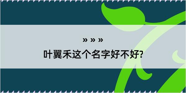 叶翼禾这个名字好不好?