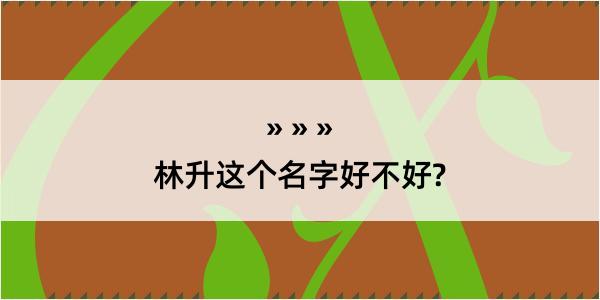 林升这个名字好不好?