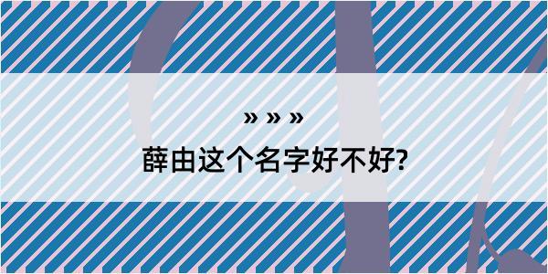 薛由这个名字好不好?