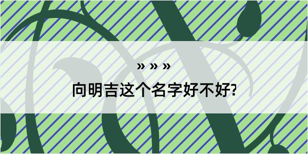 向明吉这个名字好不好?