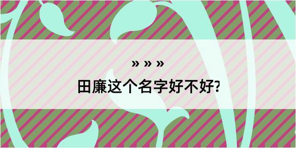 田廉这个名字好不好?