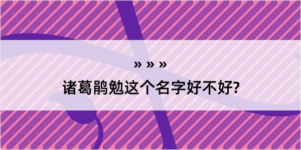 诸葛鹃勉这个名字好不好?