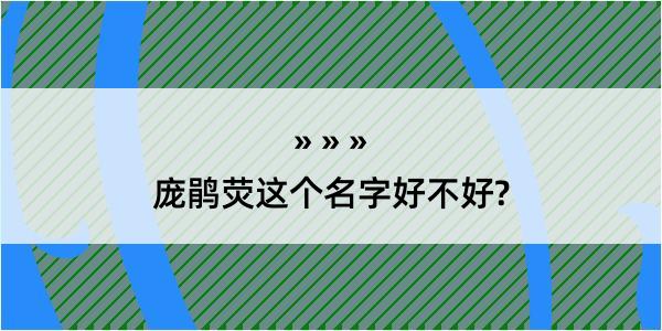 庞鹃荧这个名字好不好?