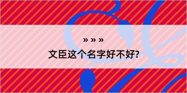 文臣这个名字好不好?