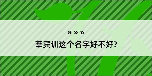 莘宾训这个名字好不好?