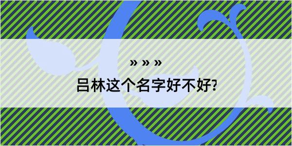 吕林这个名字好不好?