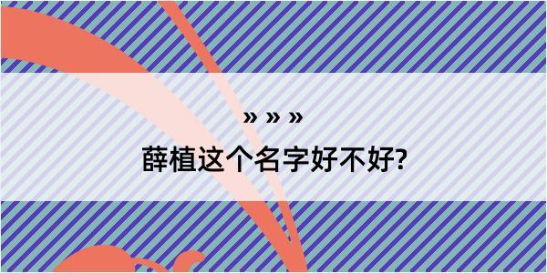 薛植这个名字好不好?