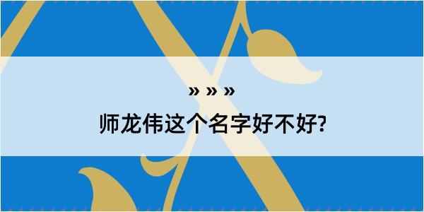 师龙伟这个名字好不好?