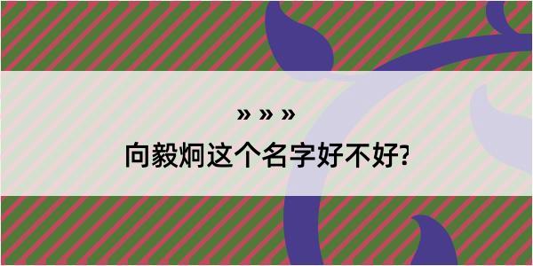 向毅炯这个名字好不好?