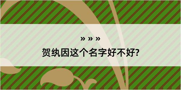 贺纨因这个名字好不好?