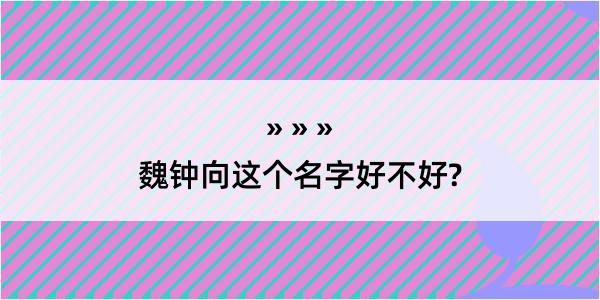 魏钟向这个名字好不好?