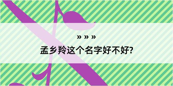 孟乡羚这个名字好不好?